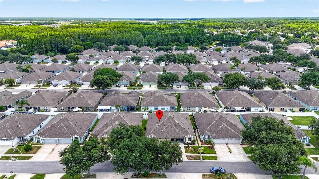 19355 Haskell Place Land O Lakes FL 34638