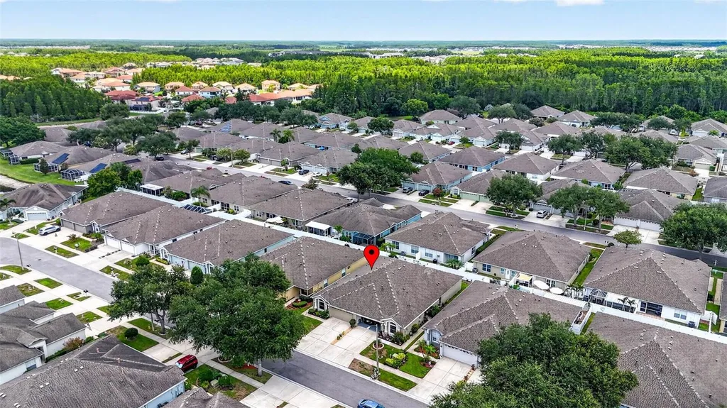 19355 Haskell Place Land O Lakes FL 34638