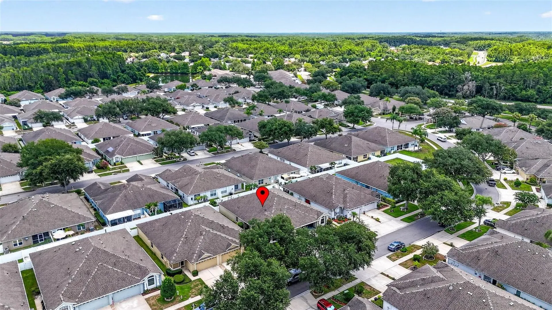 19355 Haskell Place Land O Lakes FL 34638