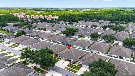 19355 Haskell Place Land O Lakes FL 34638