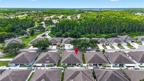 19355 Haskell Place Land O Lakes FL 34638