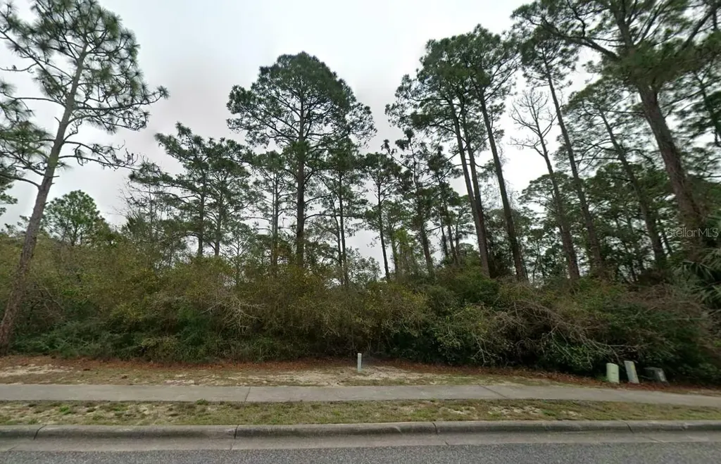 126 Laughing Gull Lane Carrabelle FL 32322