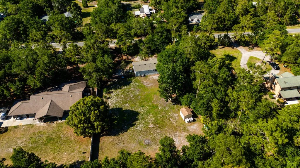 32316 Chipola Trail Sorrento FL 32776