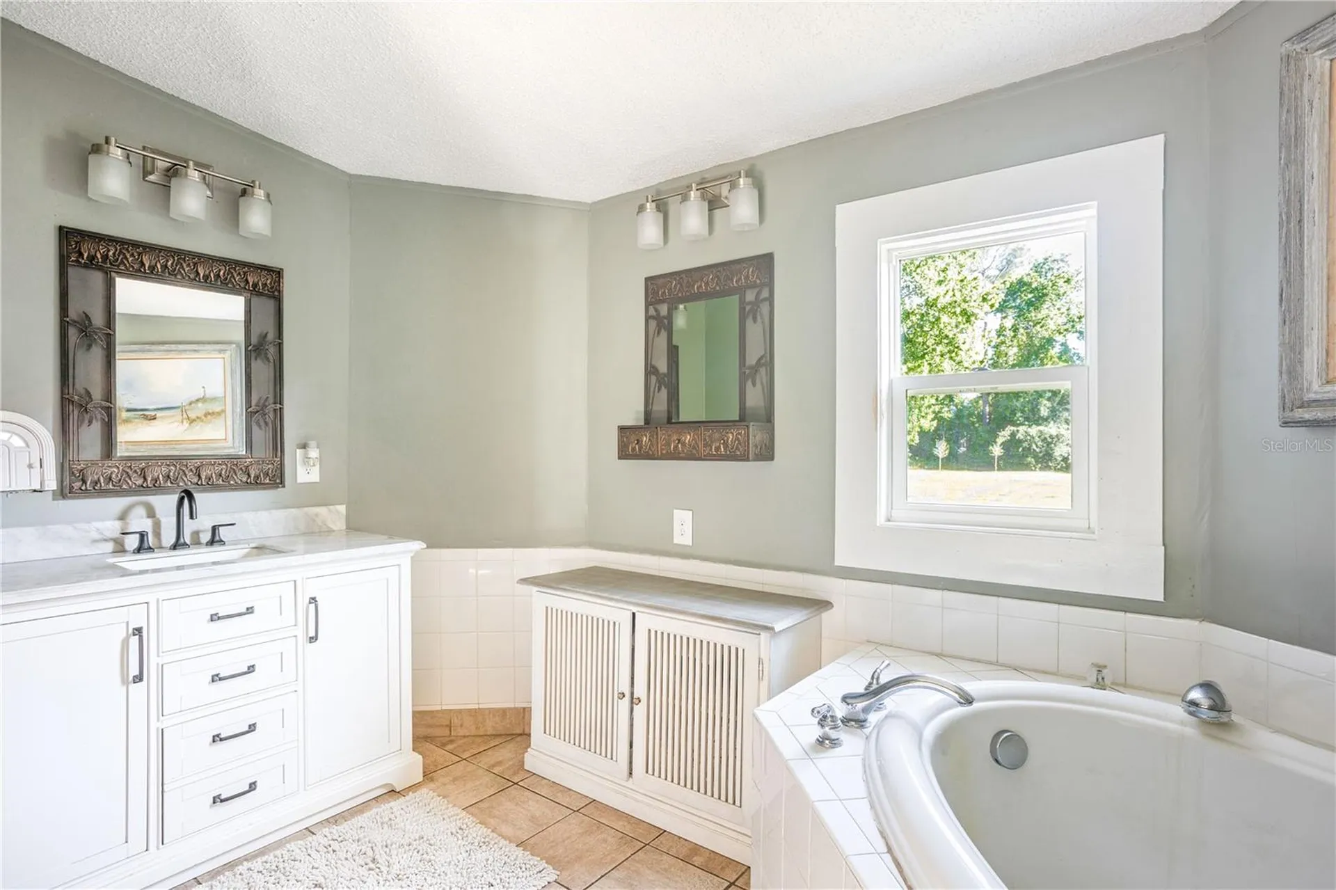 32316 Chipola Trail Sorrento FL 32776