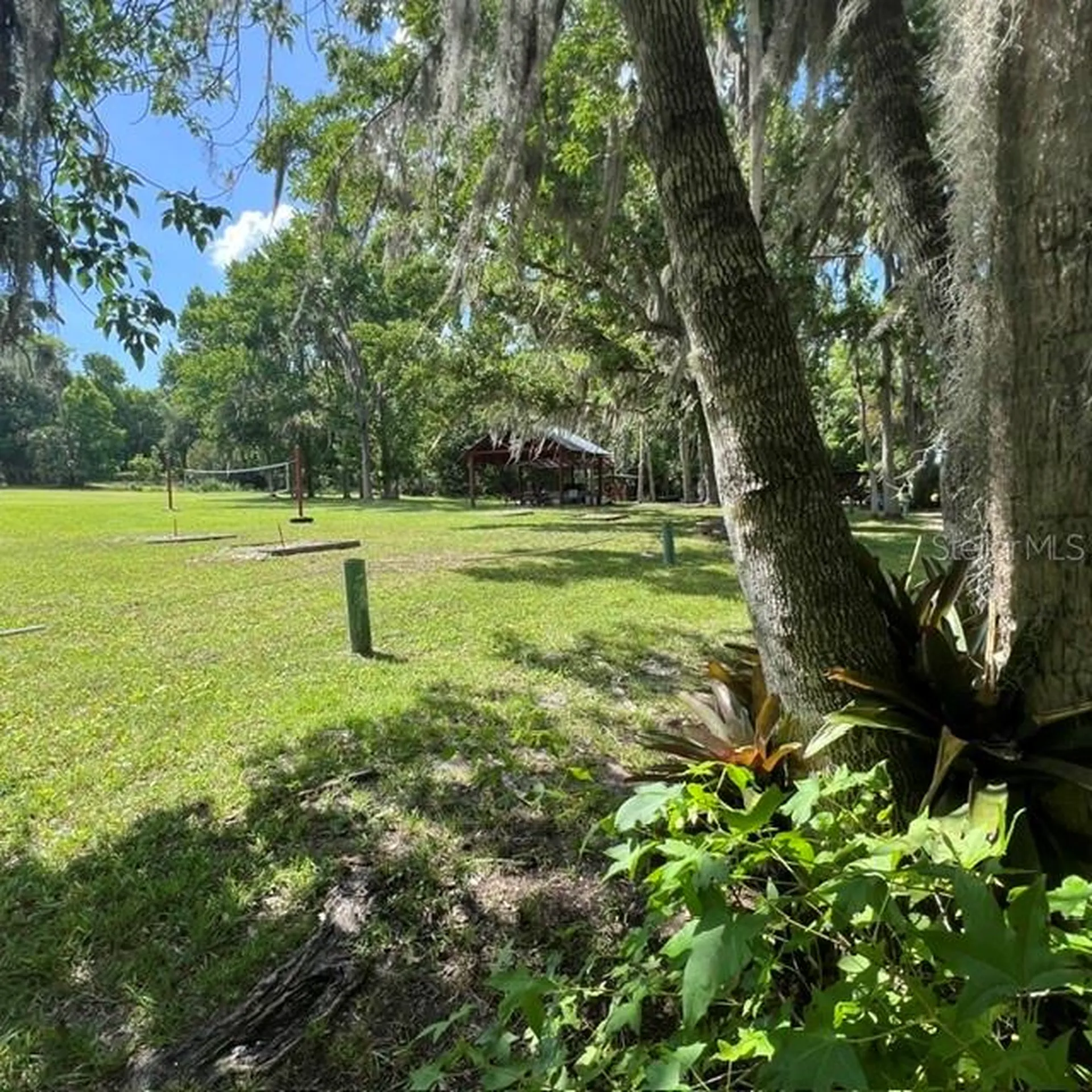 32316 Chipola Trail Sorrento FL 32776