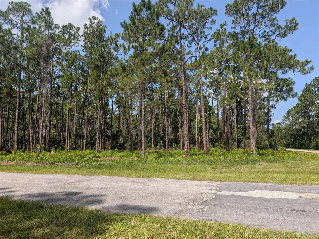 201 Allamanda Drive Indian Lake Estates FL 33855