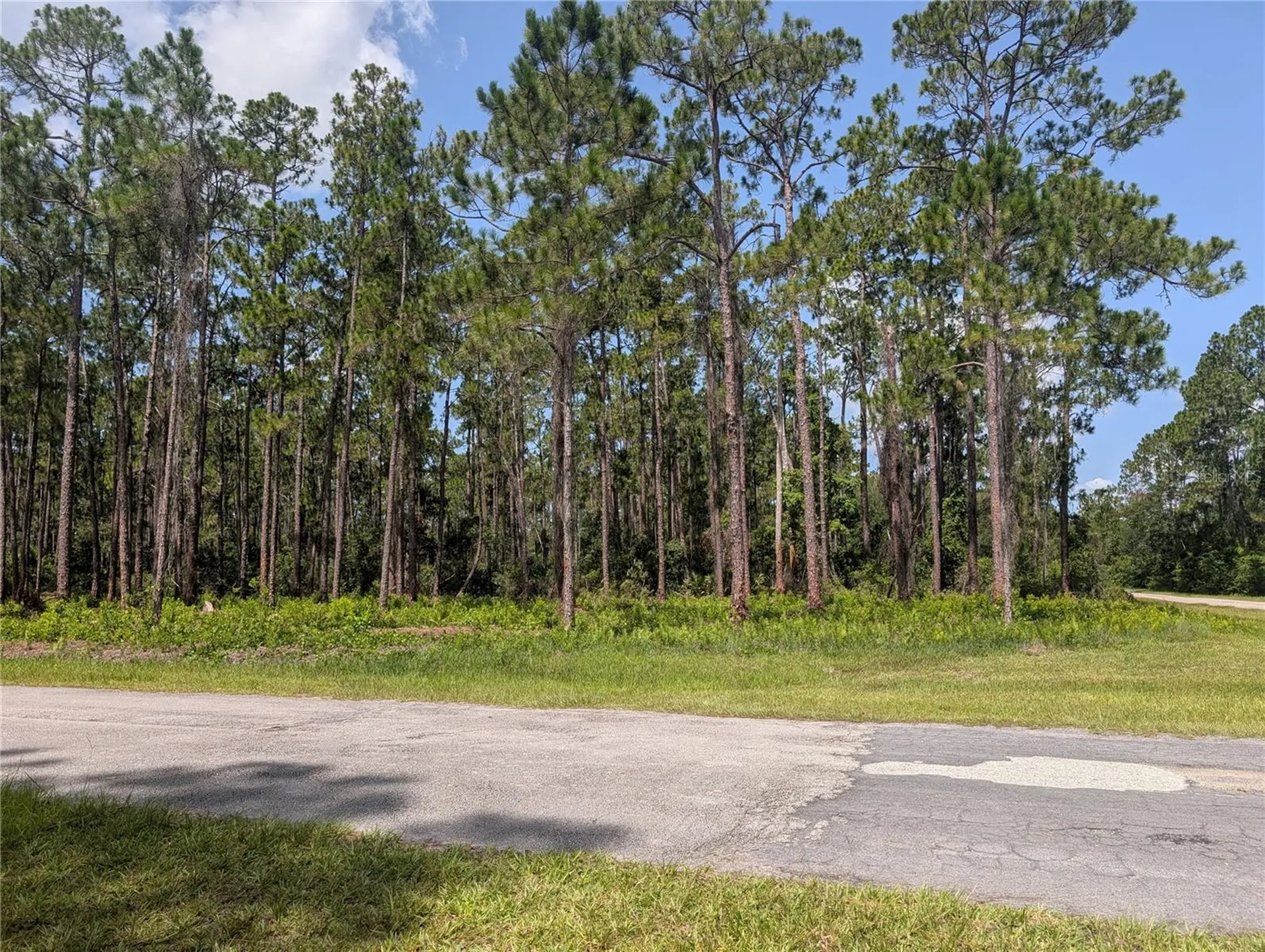 201 Allamanda Drive Indian Lake Estates FL 33855