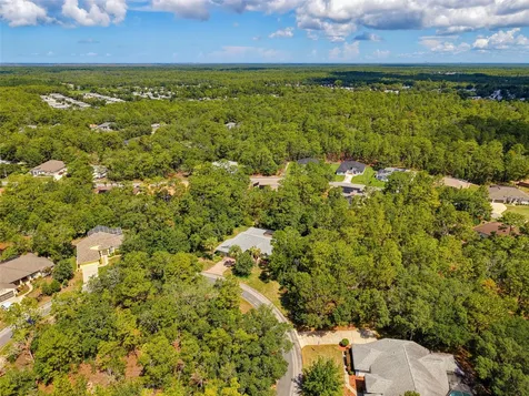 22 Grevillea Court Homosassa FL 34446