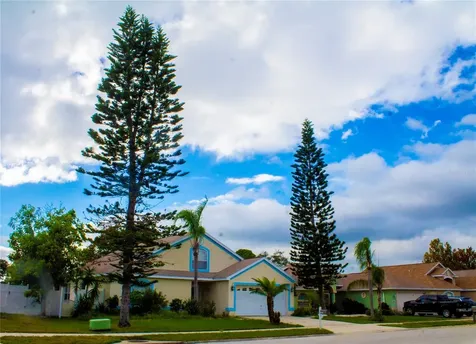 10127 Barnett Loop Port Richey FL 34668