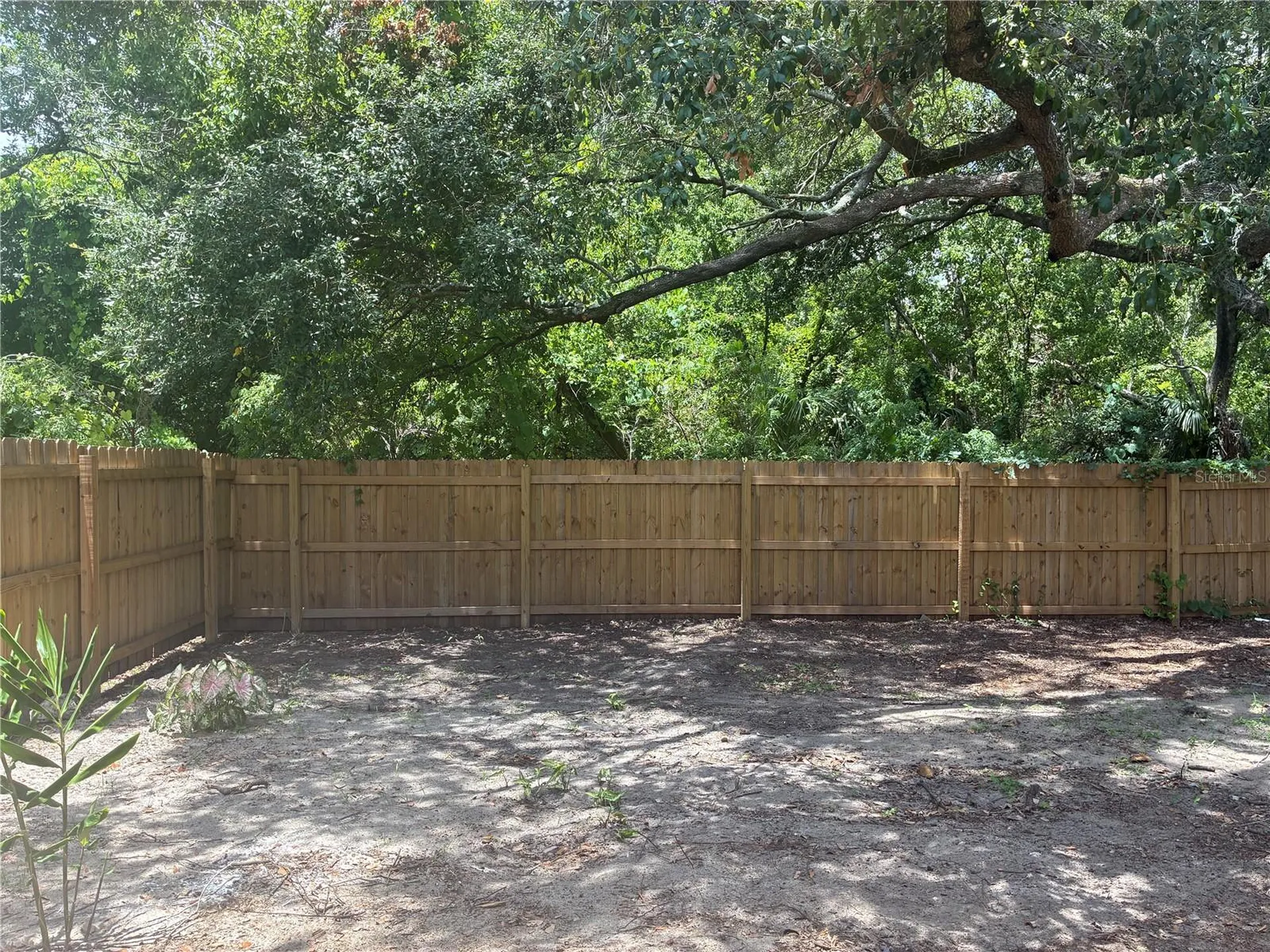 3830 Valley Tree Drive Tampa FL 33610