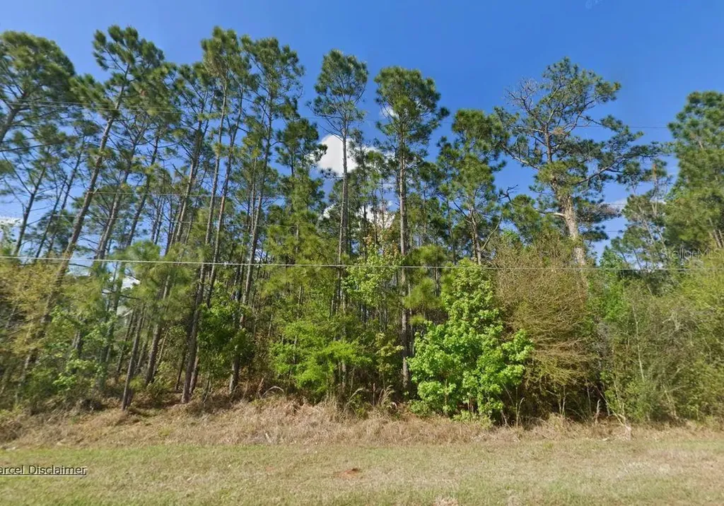 20607 Newby Street Orlando FL 32833
