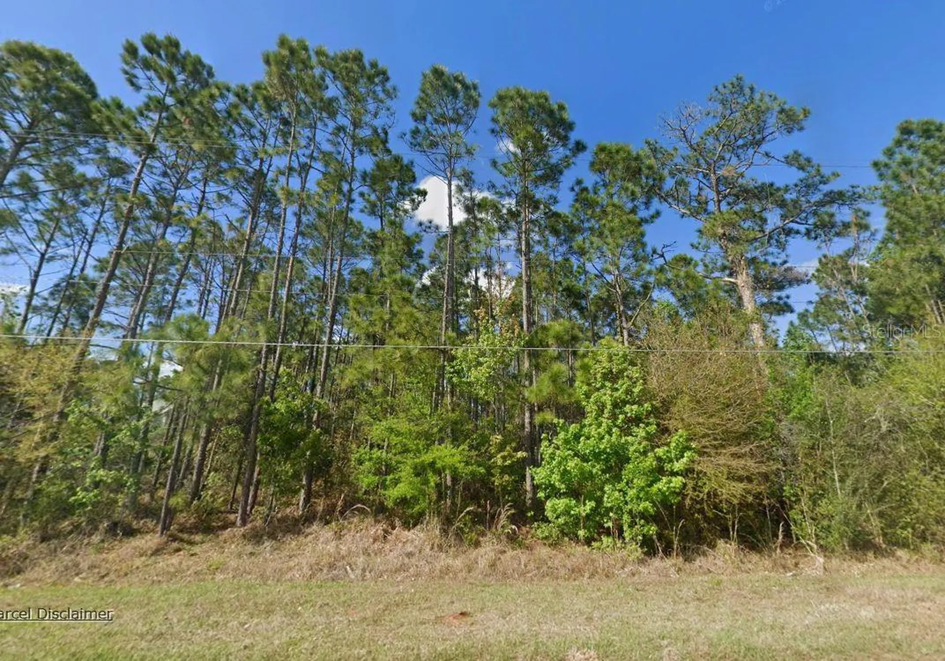 20607 Newby Street Orlando FL 32833