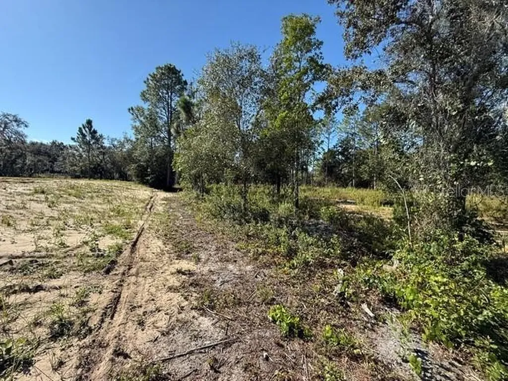 6123 Oil Well Road Clermont FL 34714