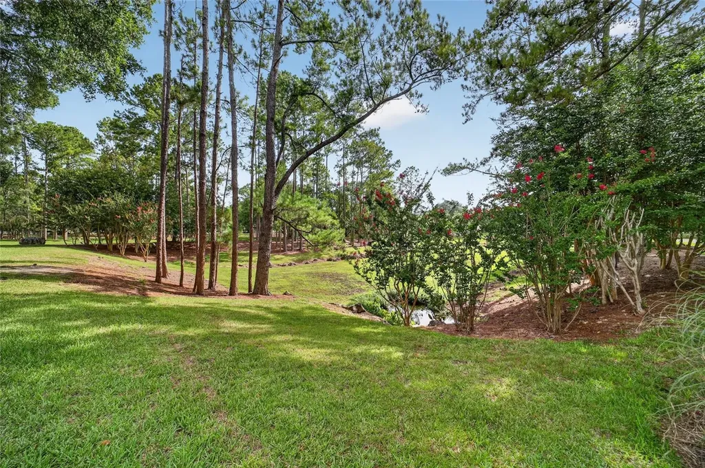 8891 SW 96th Lane Ocala FL 34481