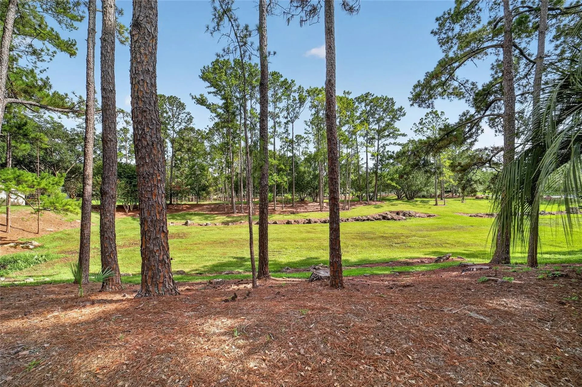 8891 SW 96th Lane Ocala FL 34481