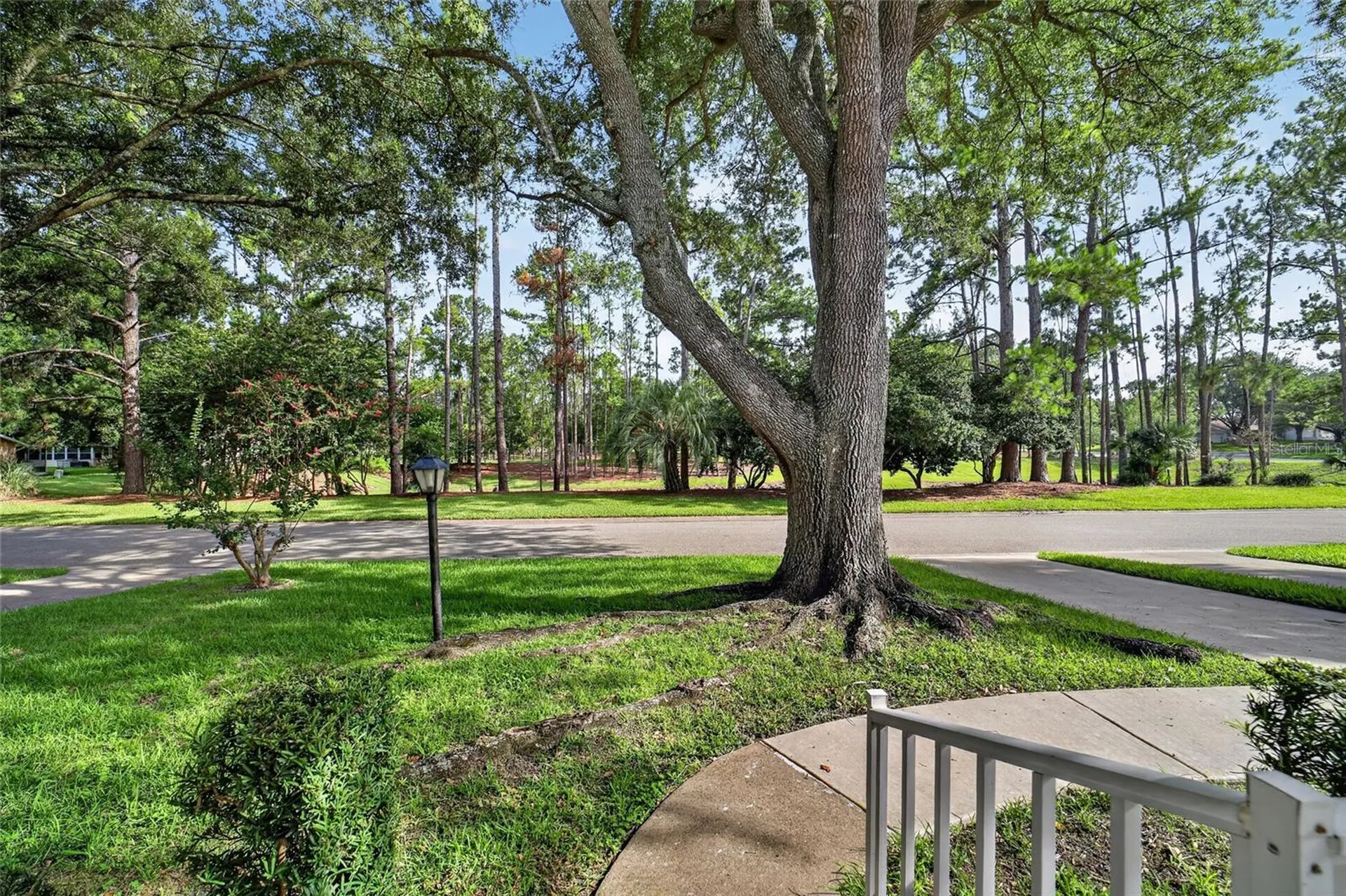 8891 SW 96th Lane Ocala FL 34481