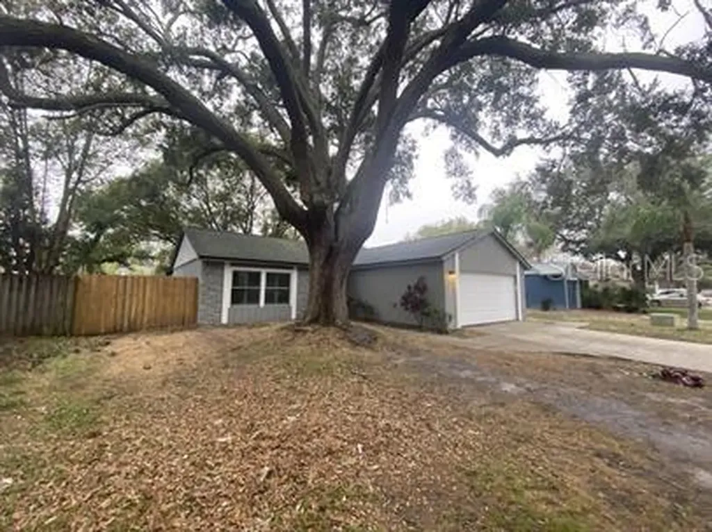 3217 Chalon Street New Port Richey FL 34655