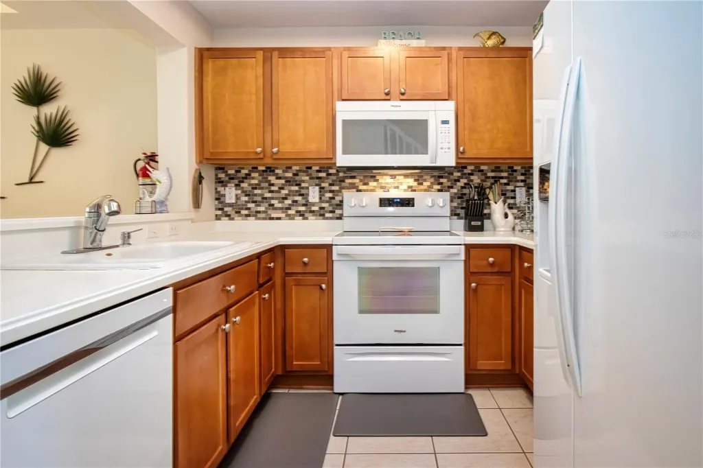 3273 Mangrove Point Drive Ruskin FL 33570