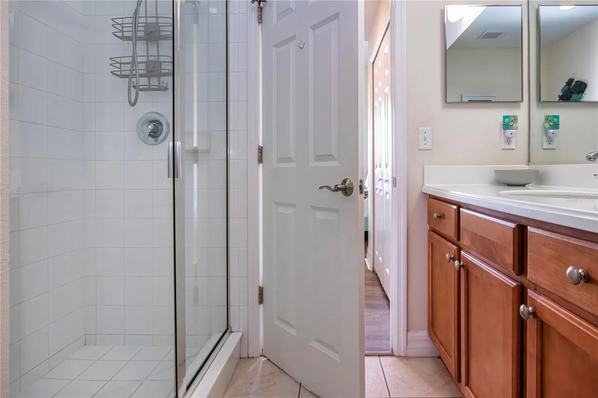 3273 Mangrove Point Drive Ruskin FL 33570