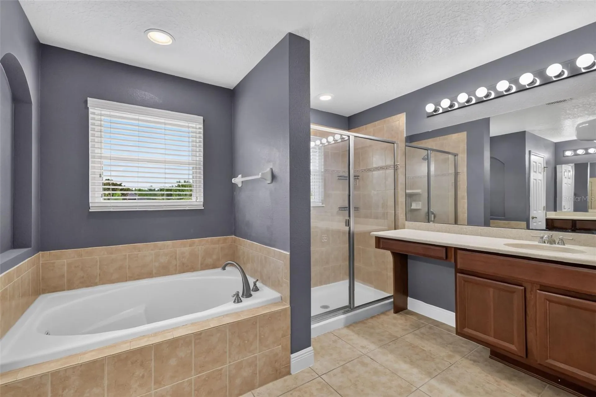 30113 Jutland Court Mount Dora FL 32757