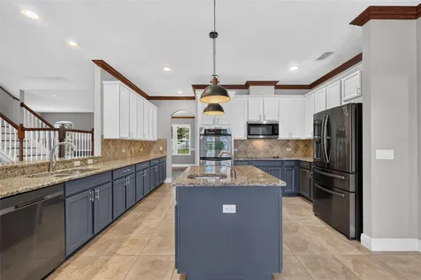 30113 Jutland Court Mount Dora FL 32757