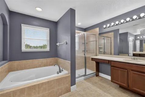 30113 Jutland Court Mount Dora FL 32757