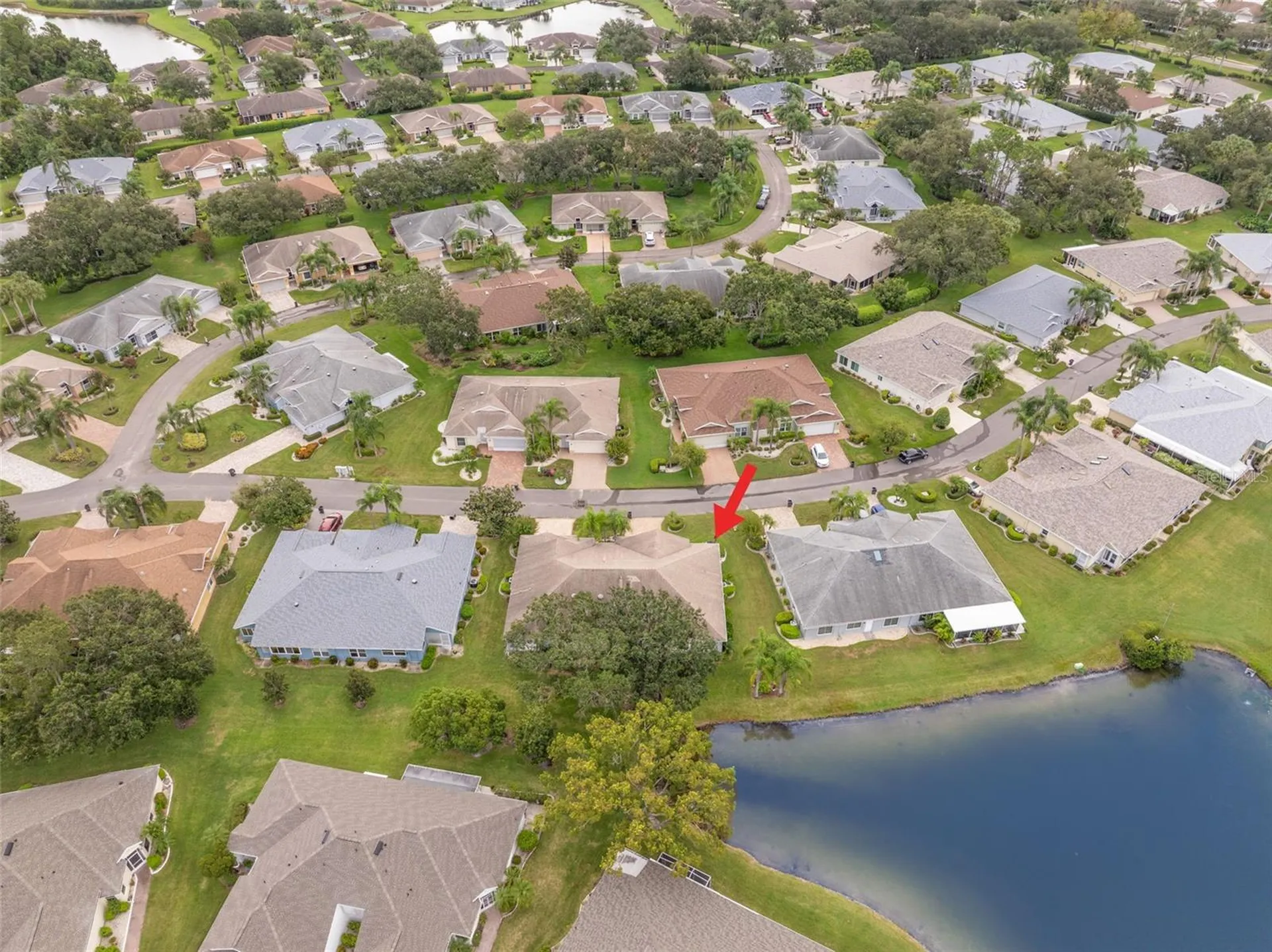 713 Manchester Woods Drive Sun City Center FL 33573