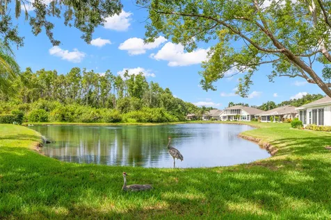 713 Manchester Woods Drive Sun City Center FL 33573