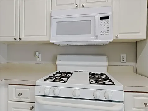 404 Summer Sails Drive Valrico FL 33594
