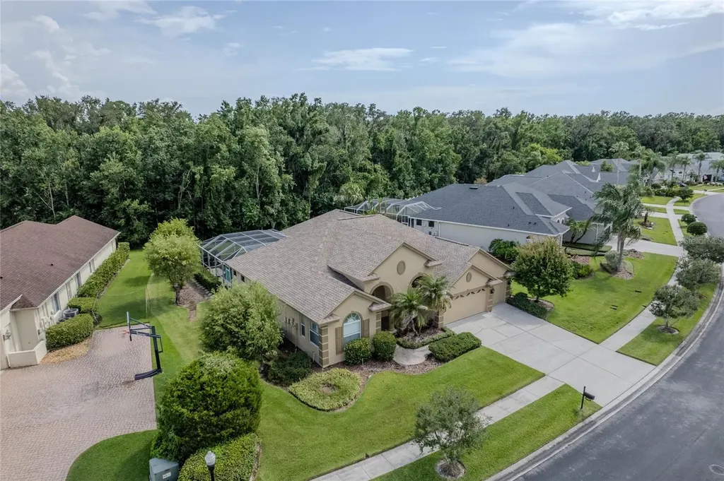 26920 Winged Elm Drive Wesley Chapel FL 33544