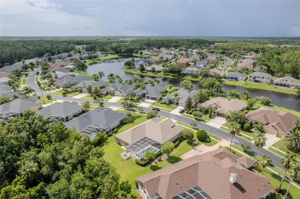 26920 Winged Elm Drive Wesley Chapel FL 33544