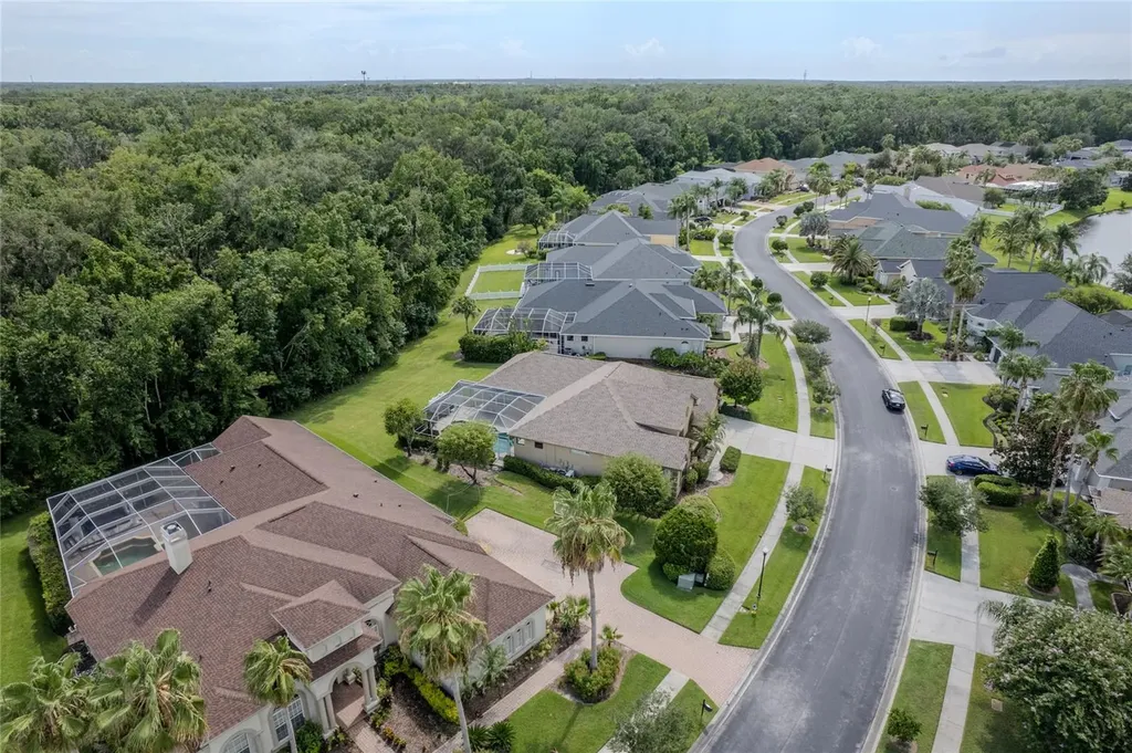 26920 Winged Elm Drive Wesley Chapel FL 33544