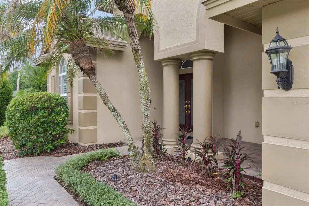 26920 Winged Elm Drive Wesley Chapel FL 33544