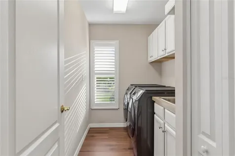 26920 Winged Elm Drive Wesley Chapel FL 33544