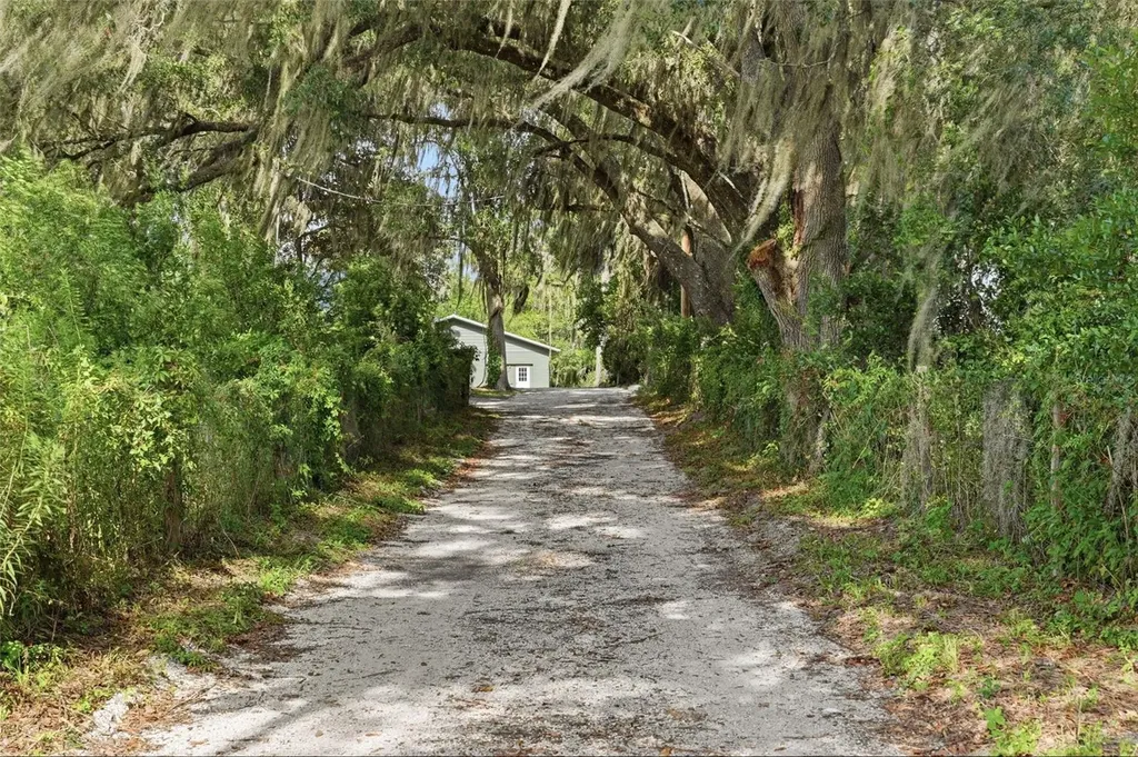 4351 NE 210th Avenue Williston FL 32696