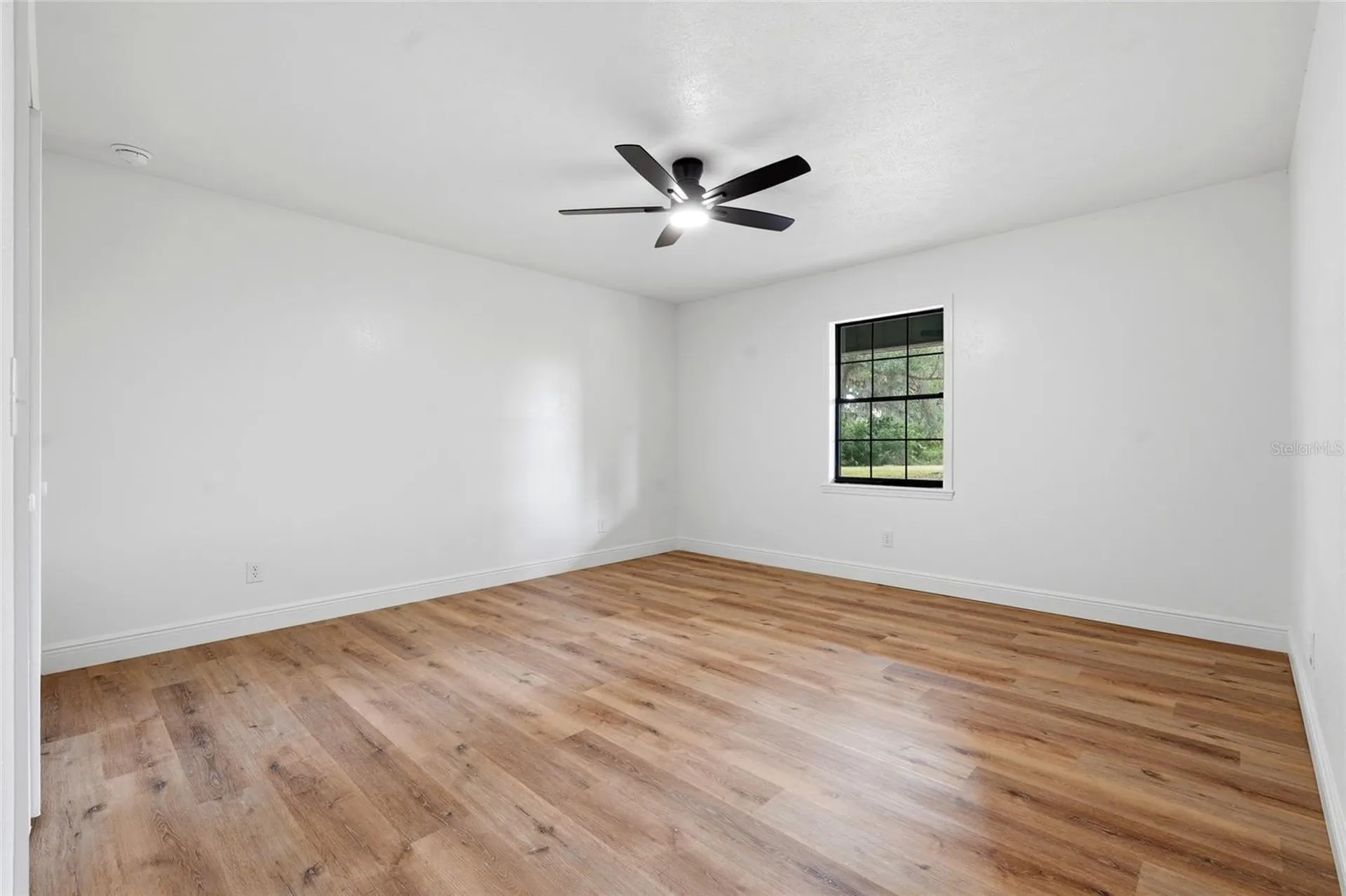 4351 NE 210th Avenue Williston FL 32696