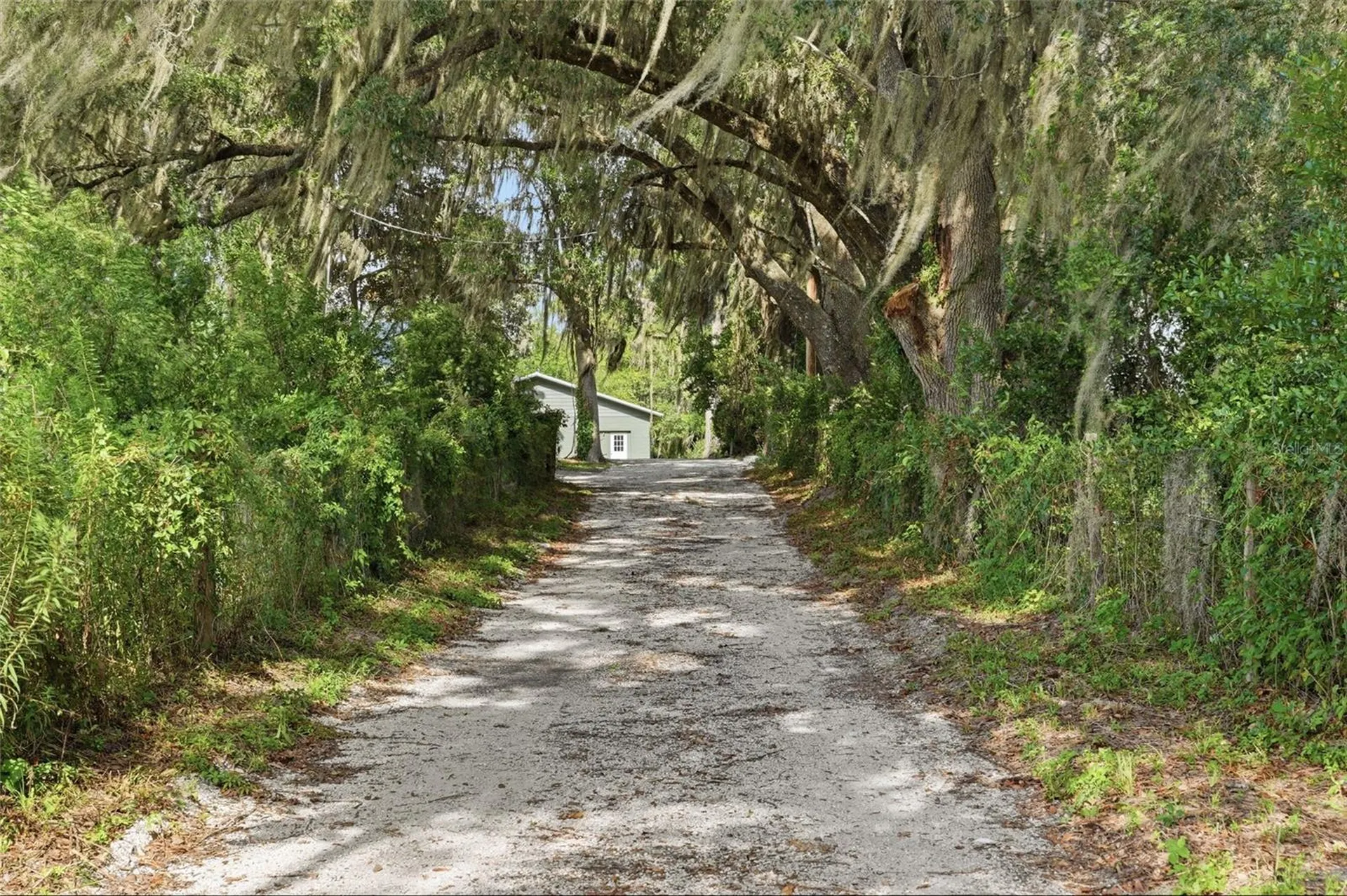 4351 NE 210th Avenue Williston FL 32696