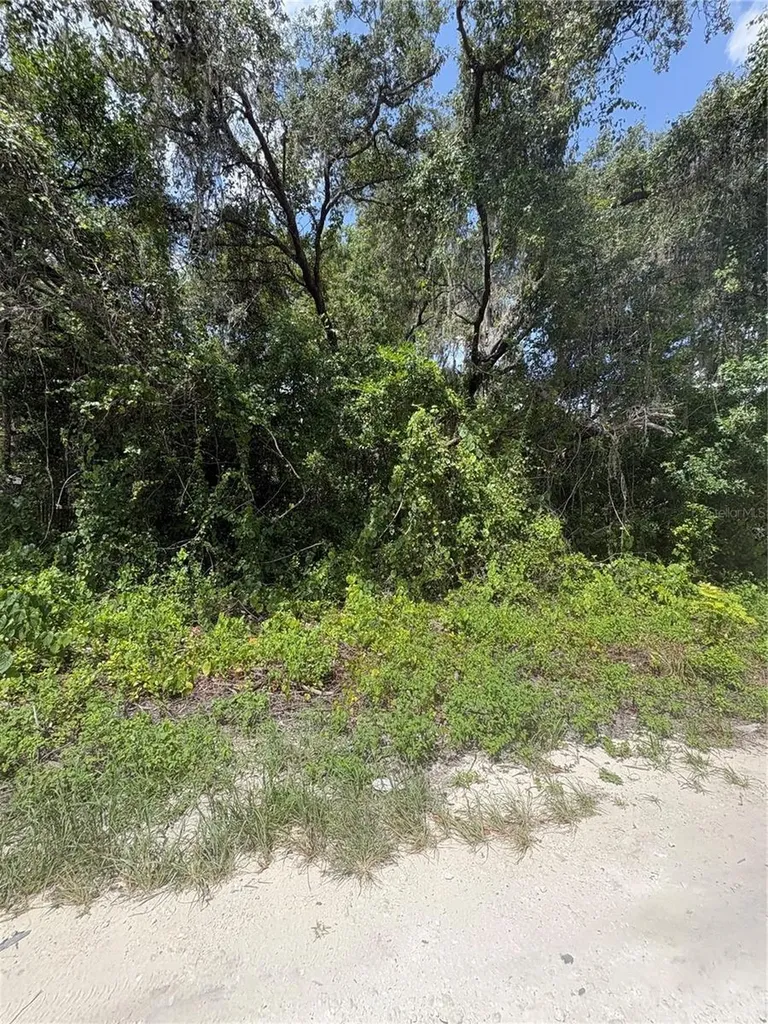 Spare Drive New Port Richey FL 34654