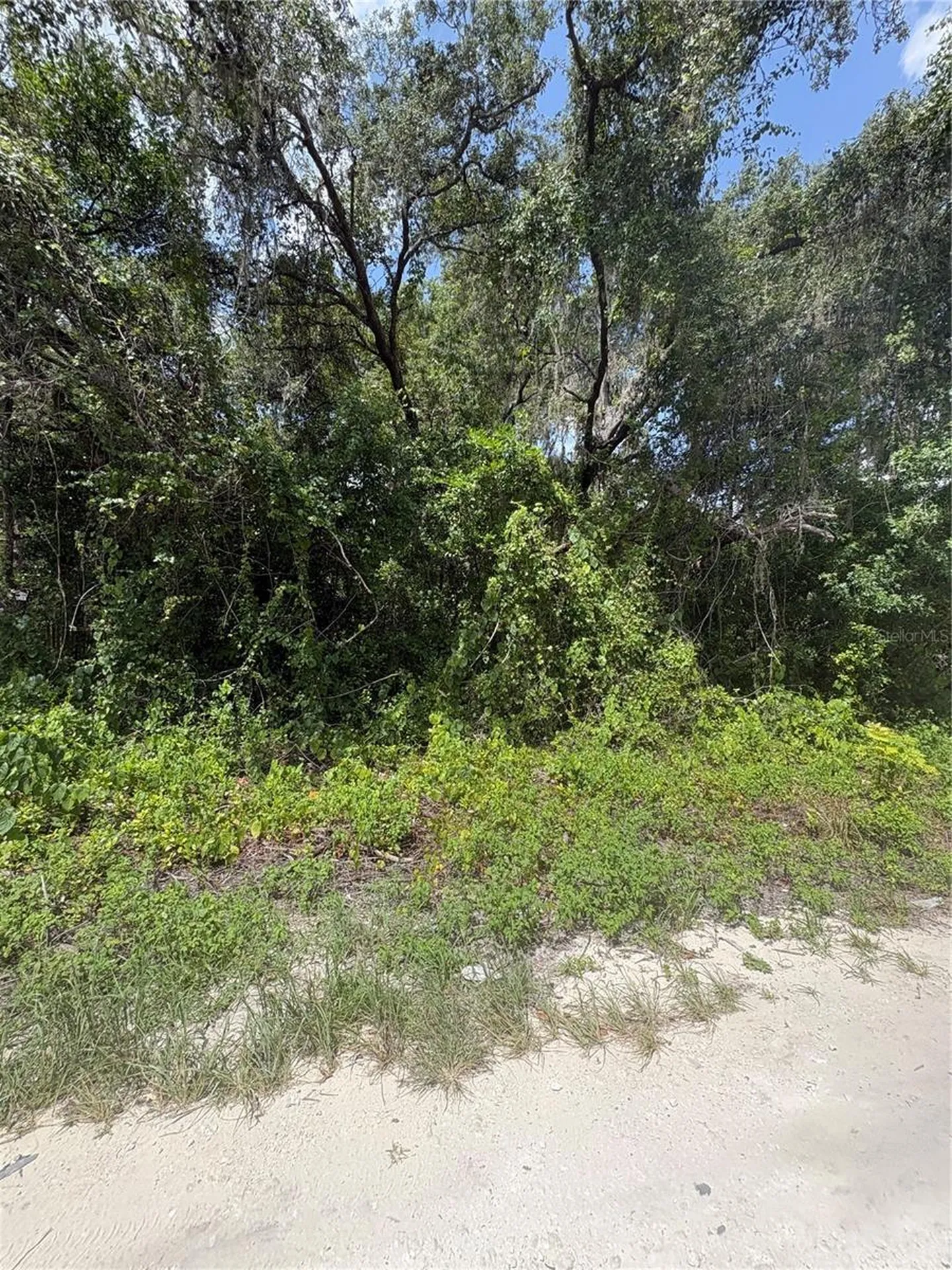 Spare Drive New Port Richey FL 34654