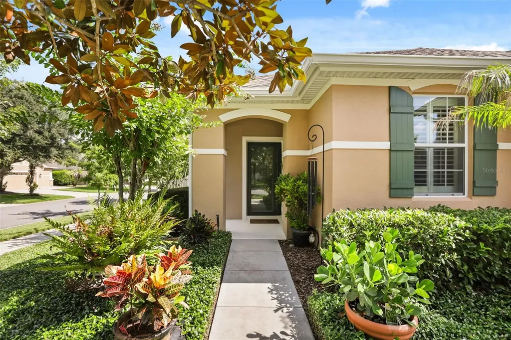 30119 Tokara Terrace Mount Dora FL 32757