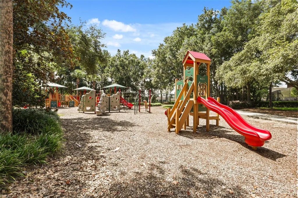 30119 Tokara Terrace Mount Dora FL 32757