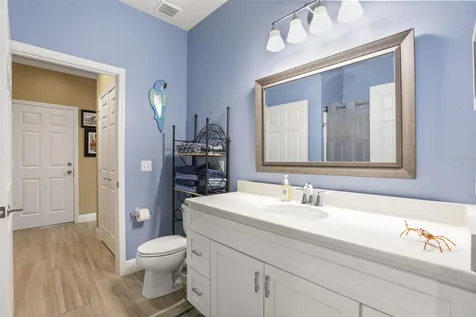 30119 Tokara Terrace Mount Dora FL 32757