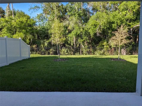 1113 Grand Hammock Court Kissimmee FL 34746