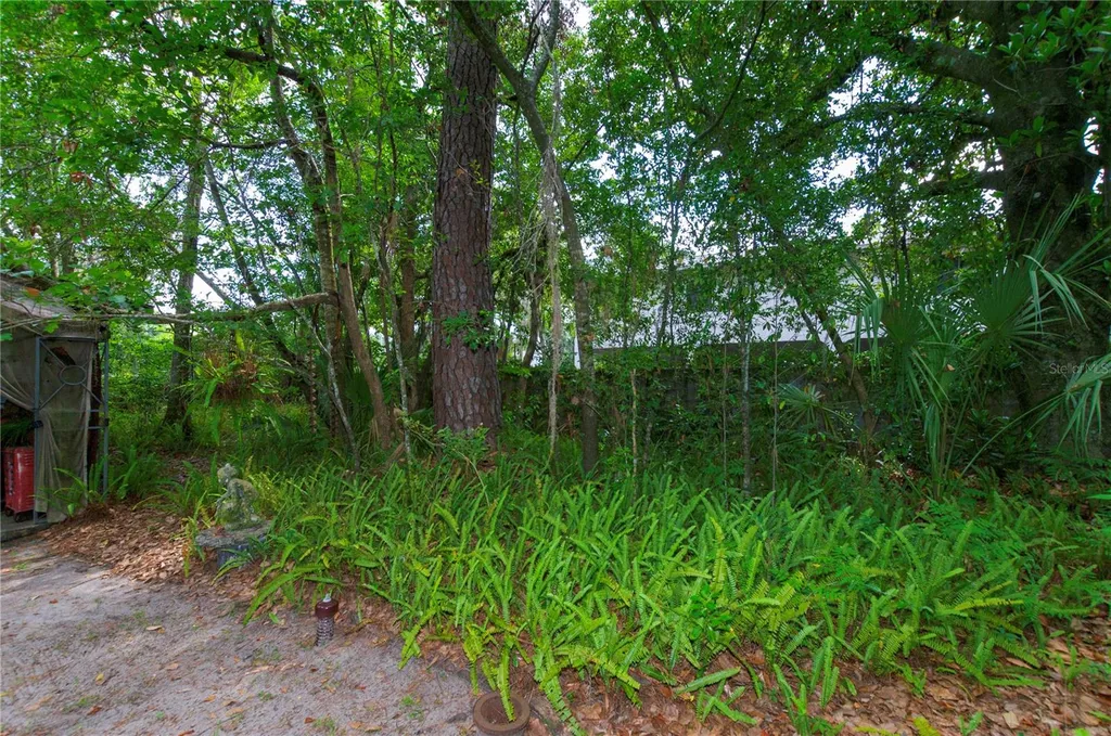 609 NW 14th Avenue Gainesville FL 32601