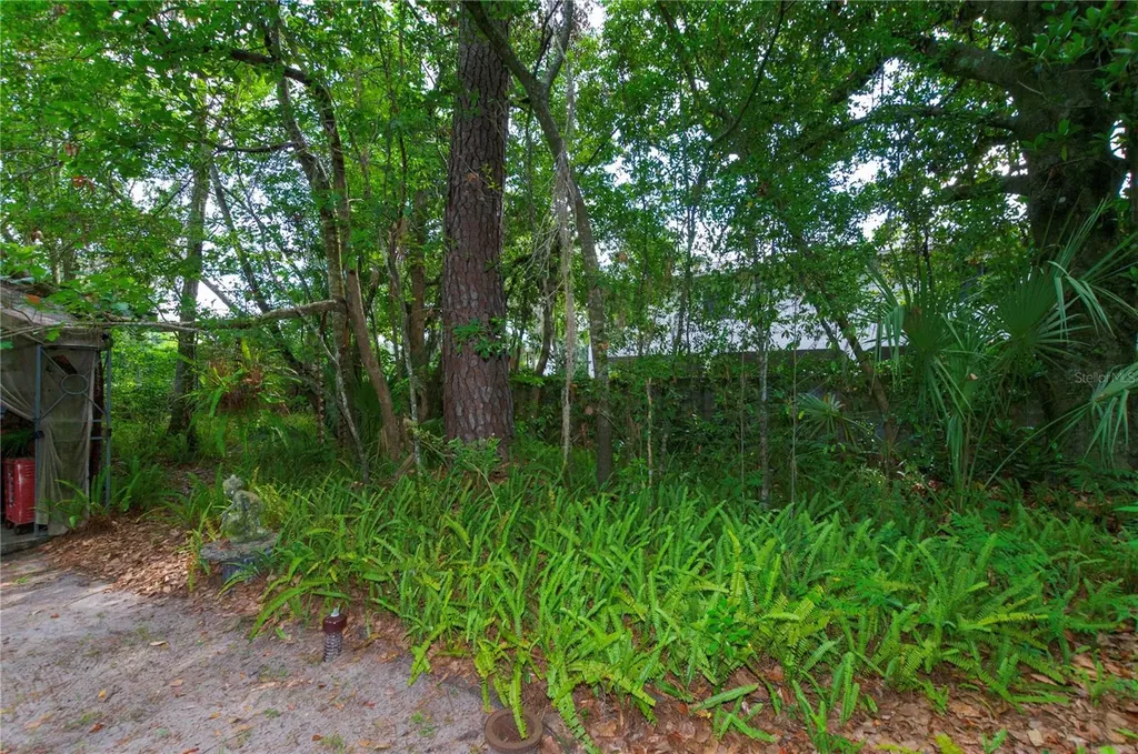 609 NW 14th Avenue Gainesville FL 32601