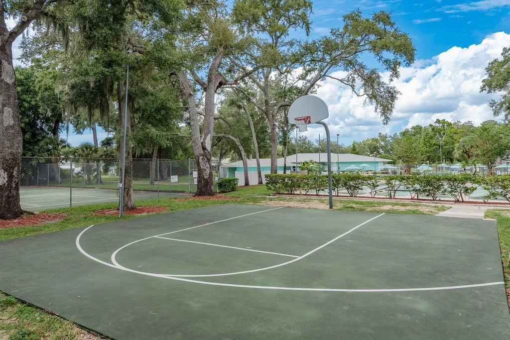 3295 Fox Chase Circle N Palm Harbor FL 34683