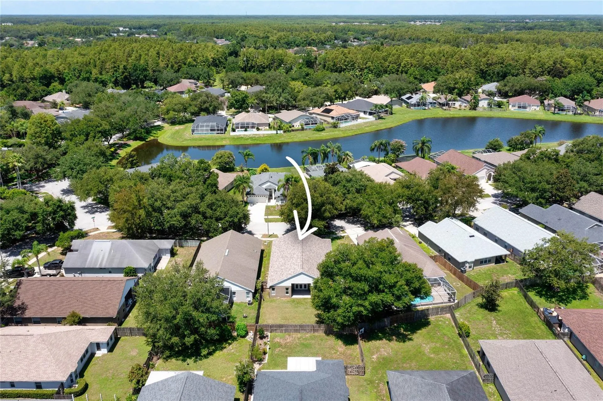19520 Morden Blush Drive Lutz FL 33558