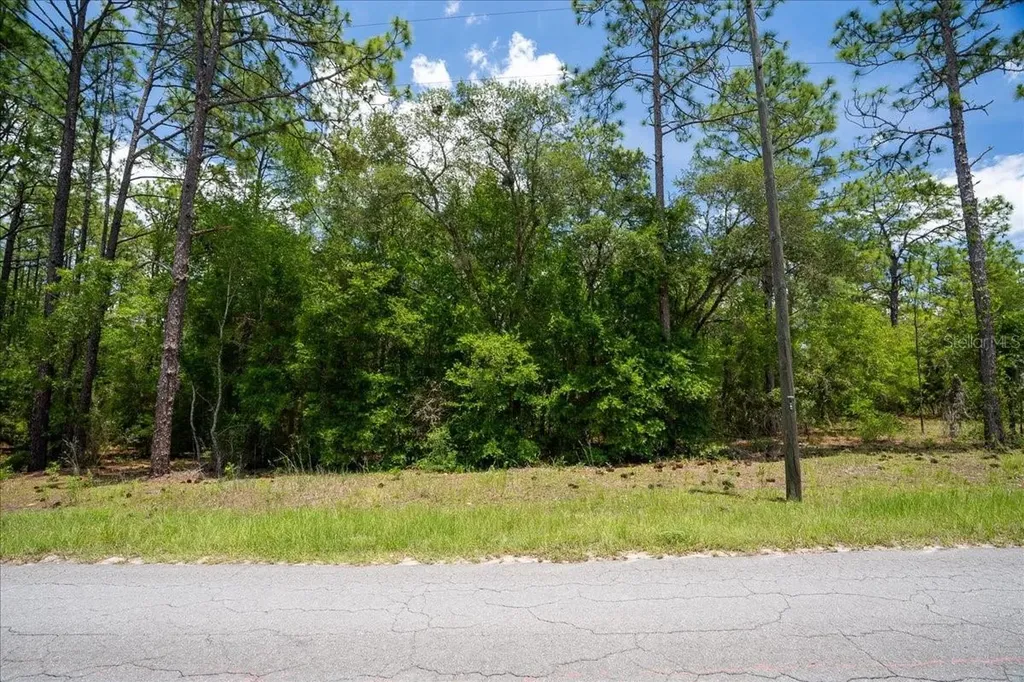 150TH Avenue Williston FL 32696