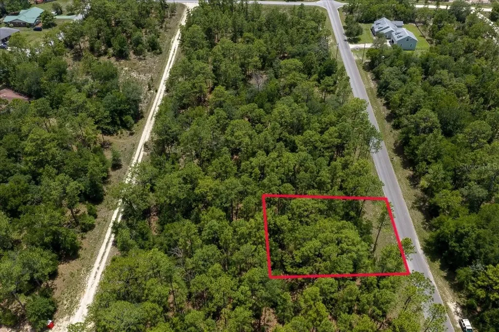 150TH Avenue Williston FL 32696