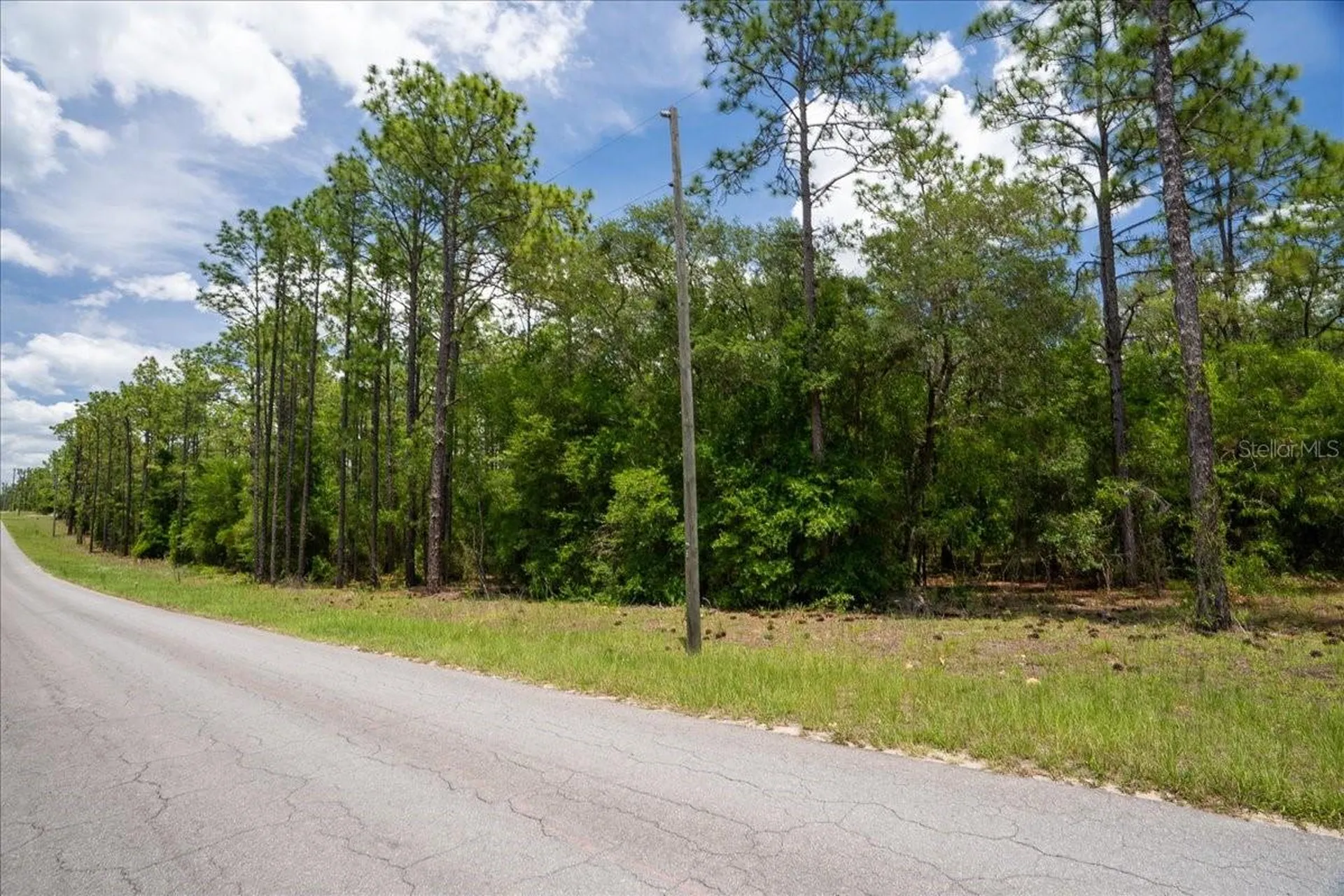 150TH Avenue Williston FL 32696